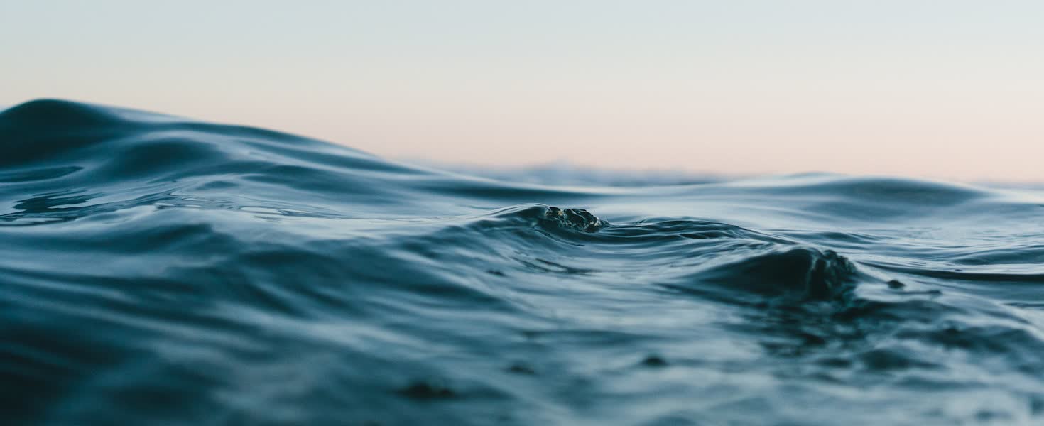 Climate Resilience